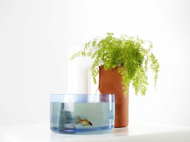 Domestic Ponds
