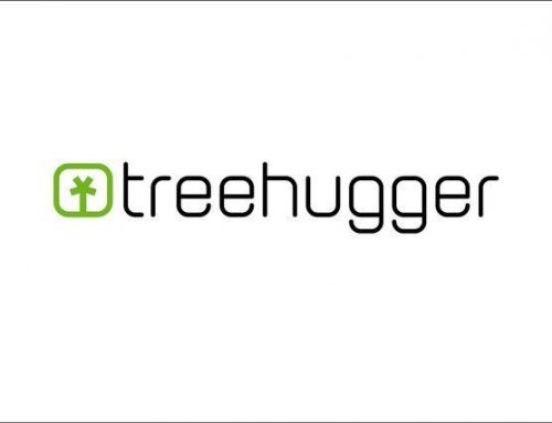 TreeHugger reports