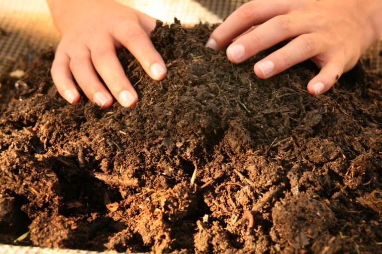 Which Composting  method is best for you?